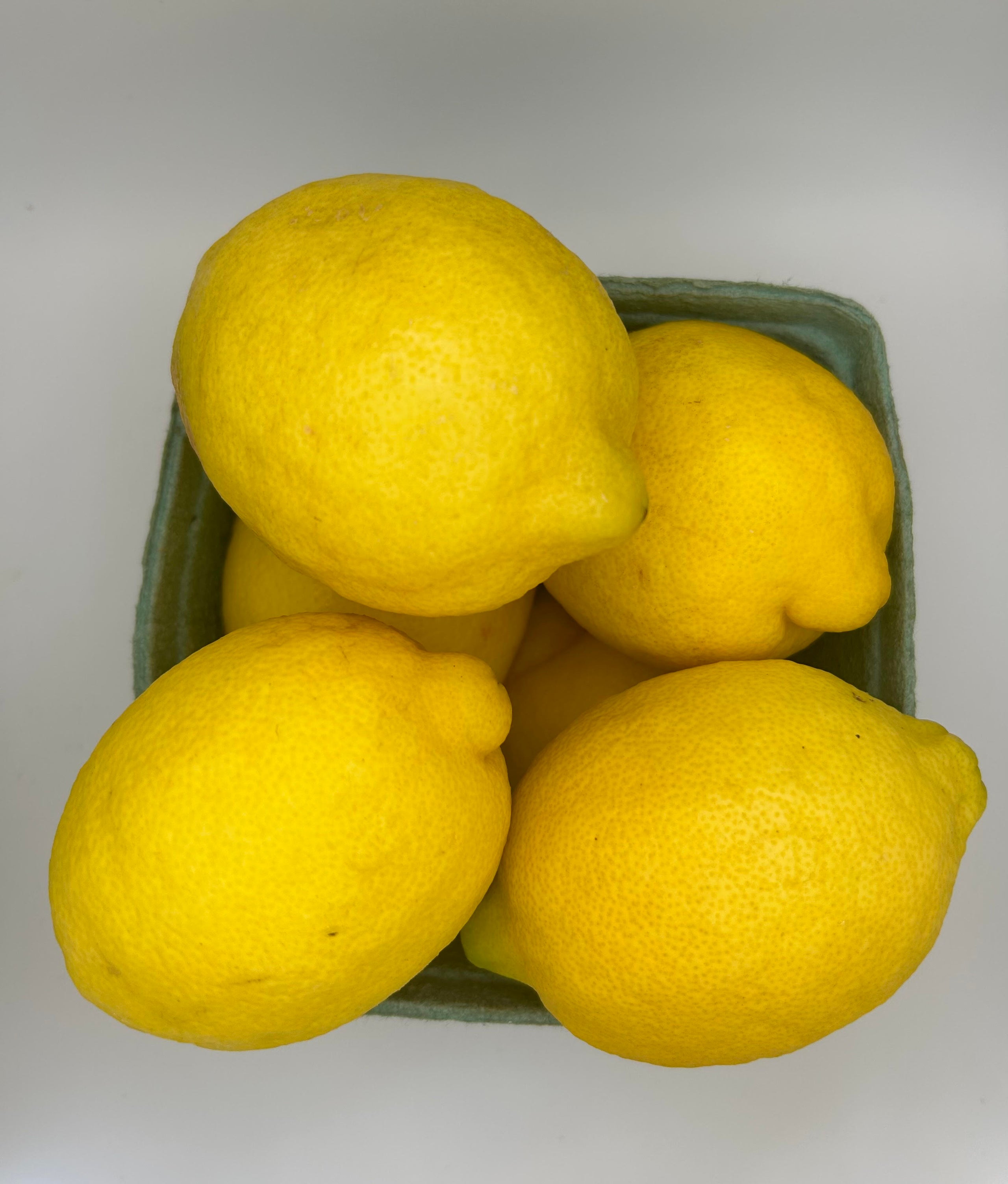 Lemon each kellyn foundation